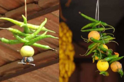 नज़र बट्टू से लेकर पीपल पेड़ के भूत तक  - ये है भारत में फैला अंधविश्वास