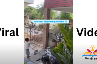Viral Video: एक बेघर बच्ची के साथ खेलता पालतू कुत्ते की ये वीडियो जिसने सबका दिल जीत लिया